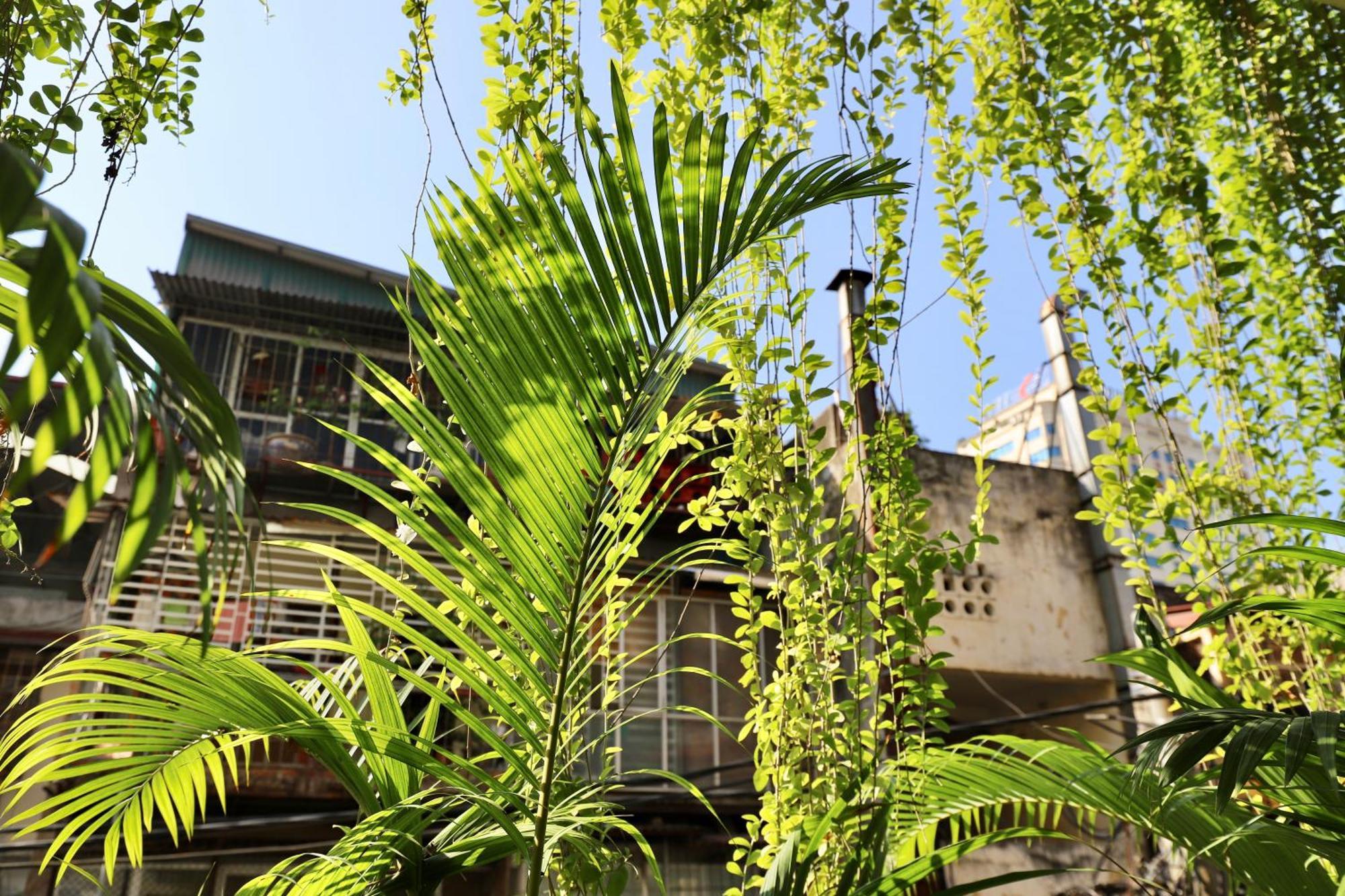 The Garden House Apartment Ханой Екстериор снимка